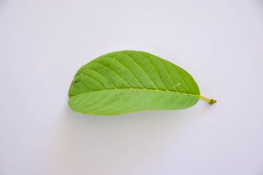 Guava beyaz arkaplandan izole olarak ayrılıyor