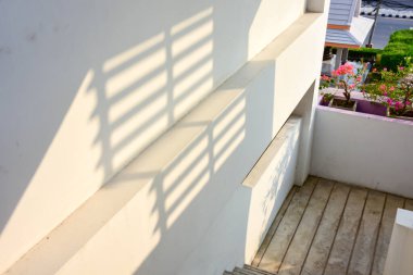 Ormanda parlayan güneşin gölgesi