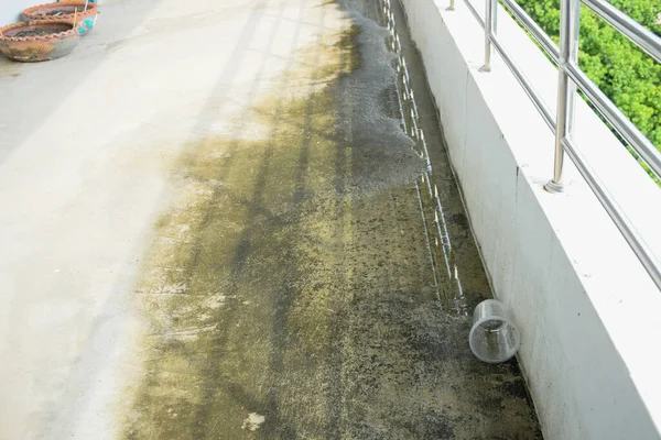 Floor Water Leaks Cause Damage Peeling Paint Mold Algae Cracks — Stock Photo, Image