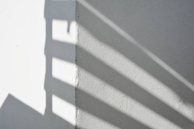 Ormanda parlayan güneşin gölgesi