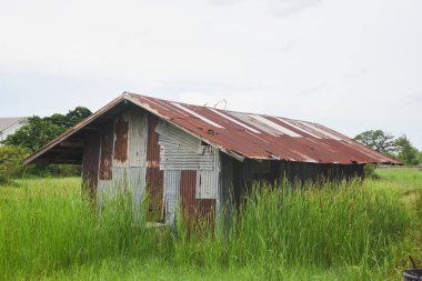 Orman ve gökyüzünde eski bir teneke ev..