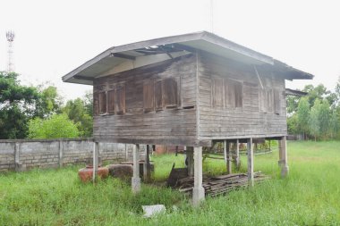 Orman ve gökyüzünde eski bir teneke ev..