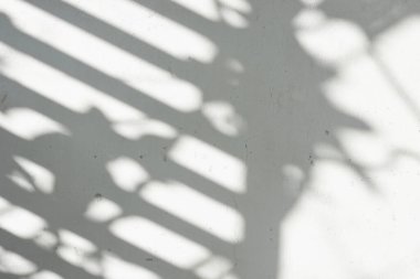 Ormanda parlayan güneşin gölgesi