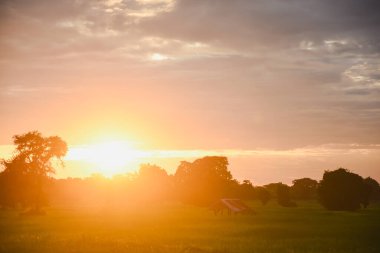 Eski bir kulübesi olan günbatımı sonbahar manzarası