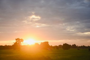 Eski bir kulübesi olan günbatımı sonbahar manzarası