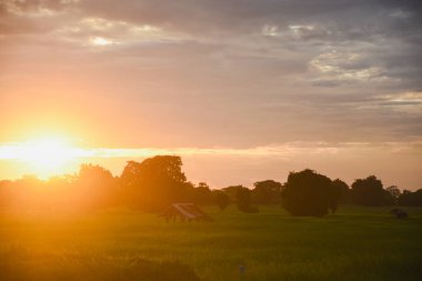 Eski bir kulübesi olan günbatımı sonbahar manzarası