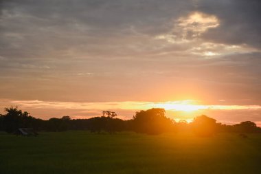 Eski bir kulübesi olan günbatımı sonbahar manzarası