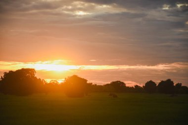 Eski bir kulübesi olan günbatımı sonbahar manzarası