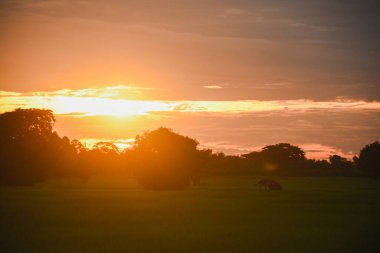 Eski bir kulübesi olan günbatımı sonbahar manzarası