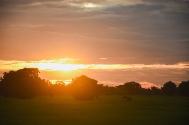 Eski bir kulübesi olan günbatımı sonbahar manzarası