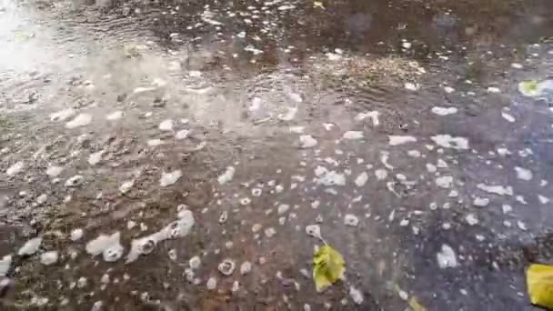Cuando Llovió Agua Fluyó Sobre Suelo Cemento — Vídeo de stock