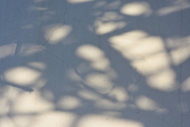 Güneşin gölgesi vızıldıyor