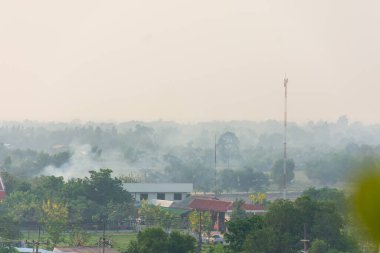 İnsanlar orman yangınlarına neden oluyor. duman kirliliktir