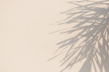 Güneşin gölgesi vızıldıyor