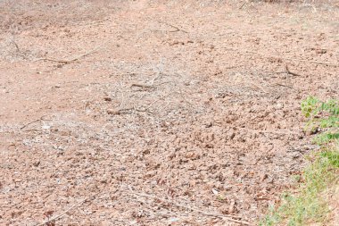 Kuyu kuruydu ve yağmur yağmadığı için hiç su yoktu. ve küresel ısınma