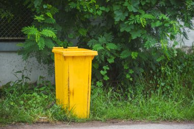 Yolun kenarında sarı bir çöp tenekesi duruyor..