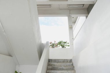 Different type of the ladder in apartments