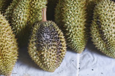 Durian meyvesi Tayland meyve pazarındaki alıcılara satılıyor Durian 