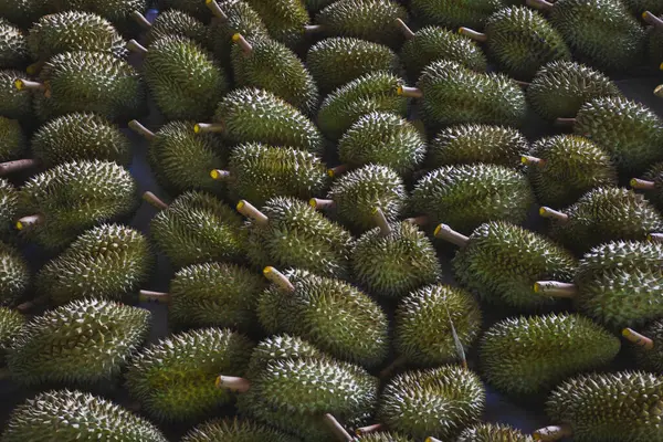 Durian meyvesi Tayland meyve pazarındaki alıcılara satılıyor Durian 