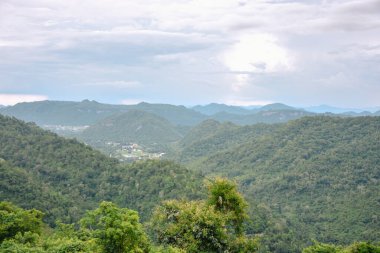 Dağlardaki orman ağaçları