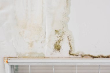 water marks on the ceiling