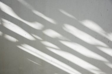 Ahşap zeminde parlayan güneş ışığı gölgeleri beyaz beton zemin