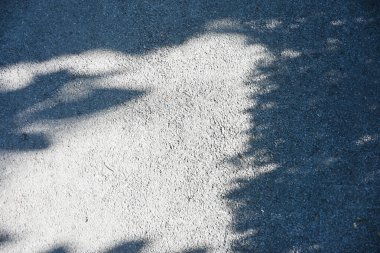 Güneşin gölgesi ormanda parlıyor.