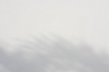 Ahşap zeminde parlayan güneş ışığı gölgeleri beyaz beton zemin