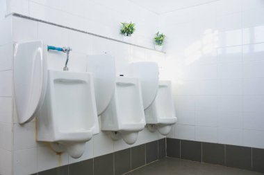 Zemin ayakta duran pisuvar, erkek umumi tuvalet, erkekler tuvaletinde kapalı beyaz pisuar, erkekler için beyaz seramik sidik tasarımı.