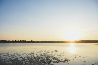 Günbatımı su yüzeyi ve ağaçların gölgeleri