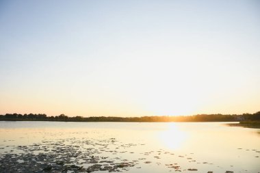 Günbatımı su yüzeyi ve ağaçların gölgeleri