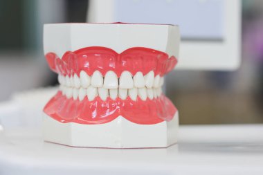 Diş laboratuarında modern takma diş modeli