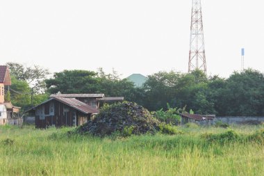 Yeşil otlarla kaplı büyük bir kaya yığını..