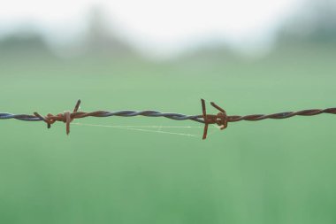 Bulanık arkaplanda dikenli tel