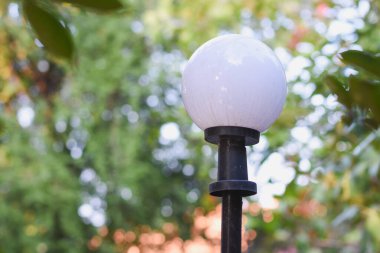 Bahçede büyük beyaz ampuller