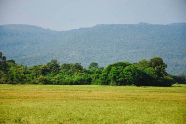 alan ve gökyüzü manzara