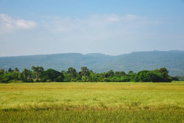 alan ve gökyüzü manzara