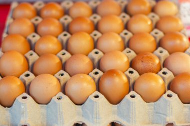 Tepsilerdeki yumurtalar bakkallara ya da bakkallara konur. Yumurtaların tepsilerde olması, yumurtaların bileşimlerini kontrol etmek için ulaşım ve teftiş olanağı sağlıyor..