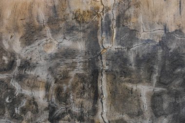 Yüzey, muhtemelen doğal oluşumları ya da insan yapımı yapıları gösteren çeşitli çizgiler ve desenlerle desenlenmiş gibi görünüyor..