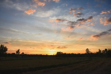 Akşam batımı ve ağaçların gölgeleri