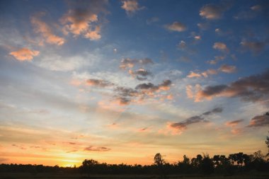 Akşam batımı ve ağaçların gölgeleri