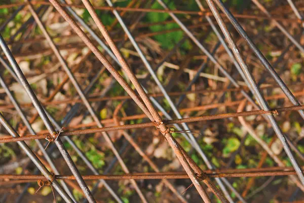 İnşaatta kullanılan inşaat çubuğunun yakın görüntüsü.