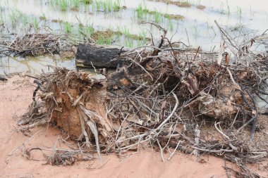 Bir alandaki enkazın yakın görüntüsü.
