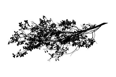 Yapraklı meşe dalının vektör görüntüsü