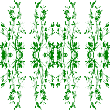 Şeffaf bir arkaplanda meşe dalları desenli bir peçete tasviri