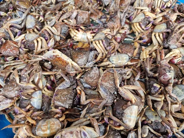 Baki Kepiting Asin Untuk Membuat Salad Pepaya — Stok Foto