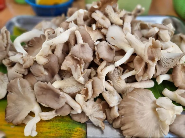 Pilha Cogumelos Folhas Banana Mercado — Fotografia de Stock