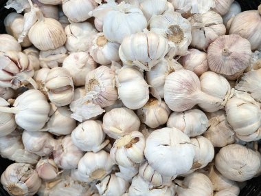 Kho Hong, Songkhla, Tayland 'daki yerel bir hasattan gelen büyük bir yığın taze, beyaz sarımsak soğanı. Bu temel mutfak malzemesinin temiz görünüşünü ve bolluğunu vurgular.