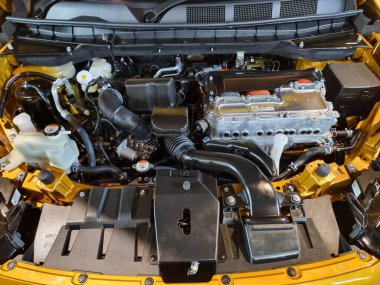 Parlak sarı ve yeşil çeşitliliğe sahip sengonyum yaprağı, yağmur üstüne sanatsal dokunuş ve tropikal cazibe içeren bahçe elementleri arasında yatar..