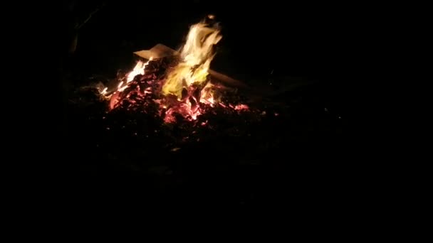 Φωτιά Καίει Νύχτα Και Άνθρωποι Μαστουρώνουν — Αρχείο Βίντεο